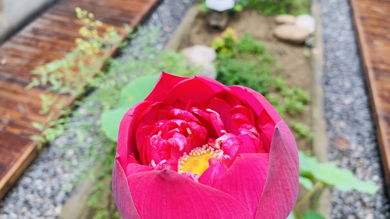 Photo of Outdoor in Tongzhou