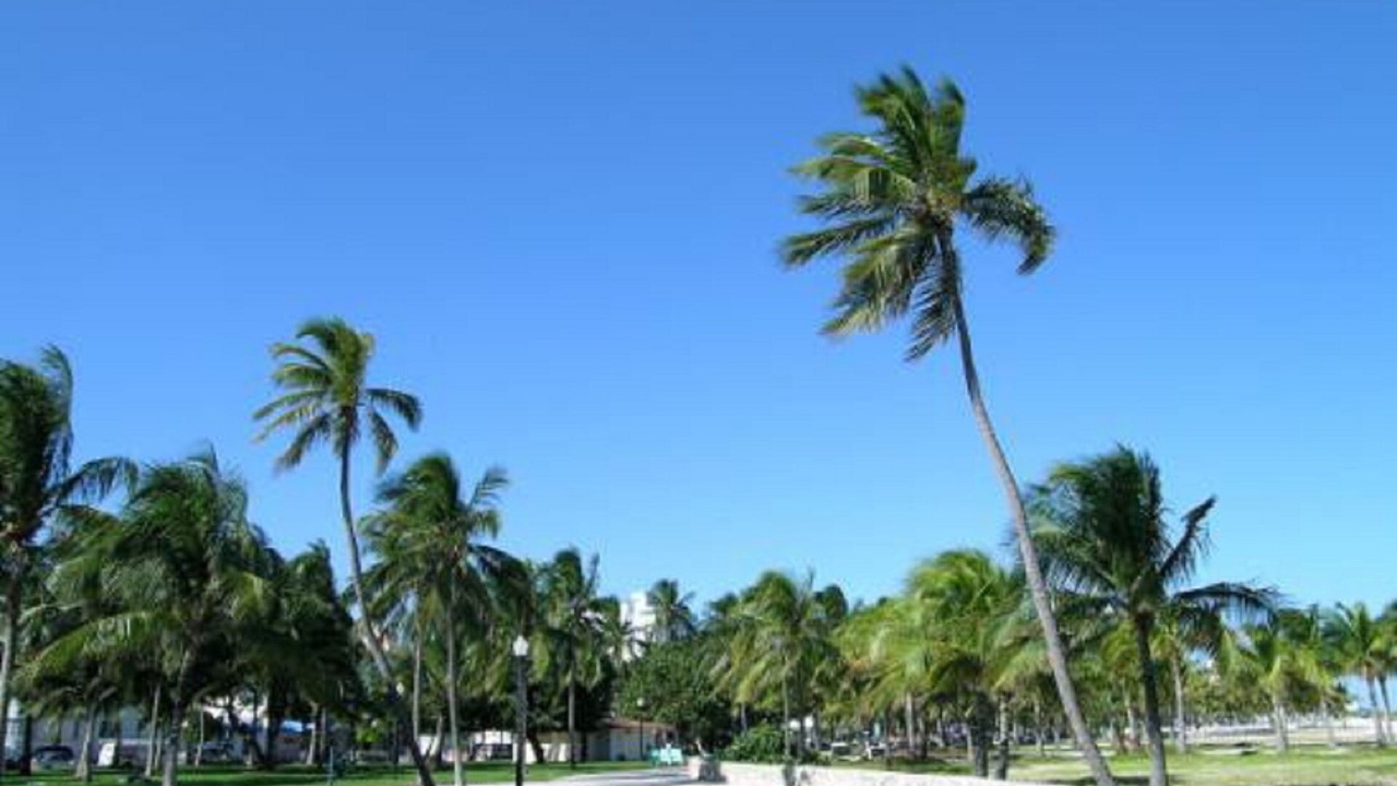 Photo of Others in South Pointe