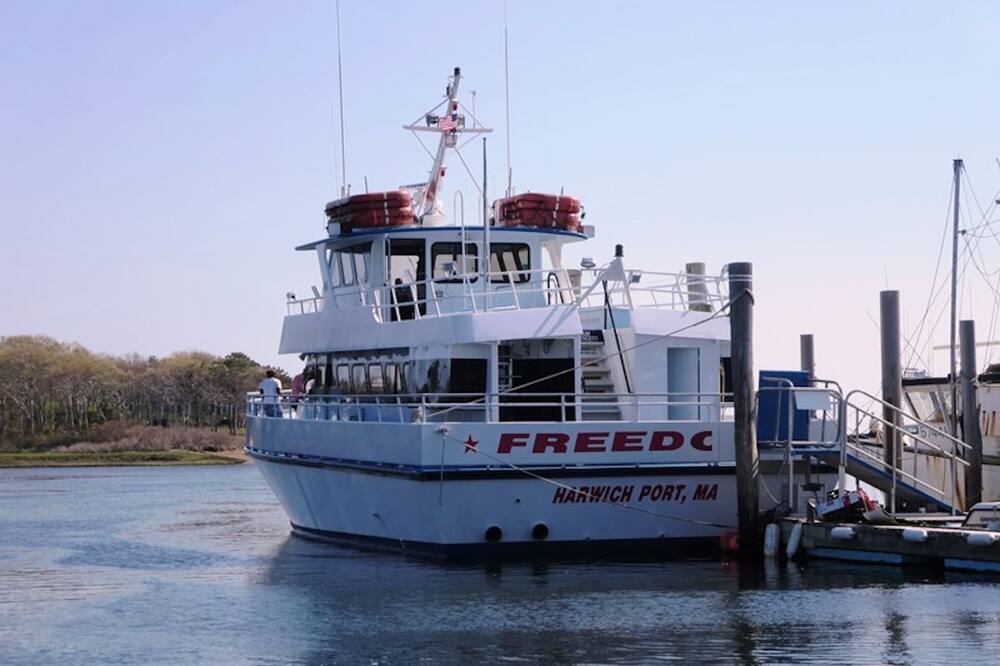 Photo of Others in South Harwich