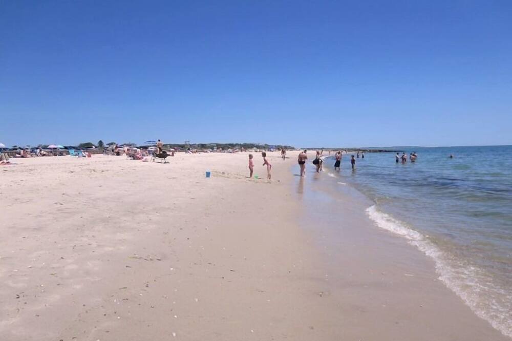 Photo of Others in South Harwich
