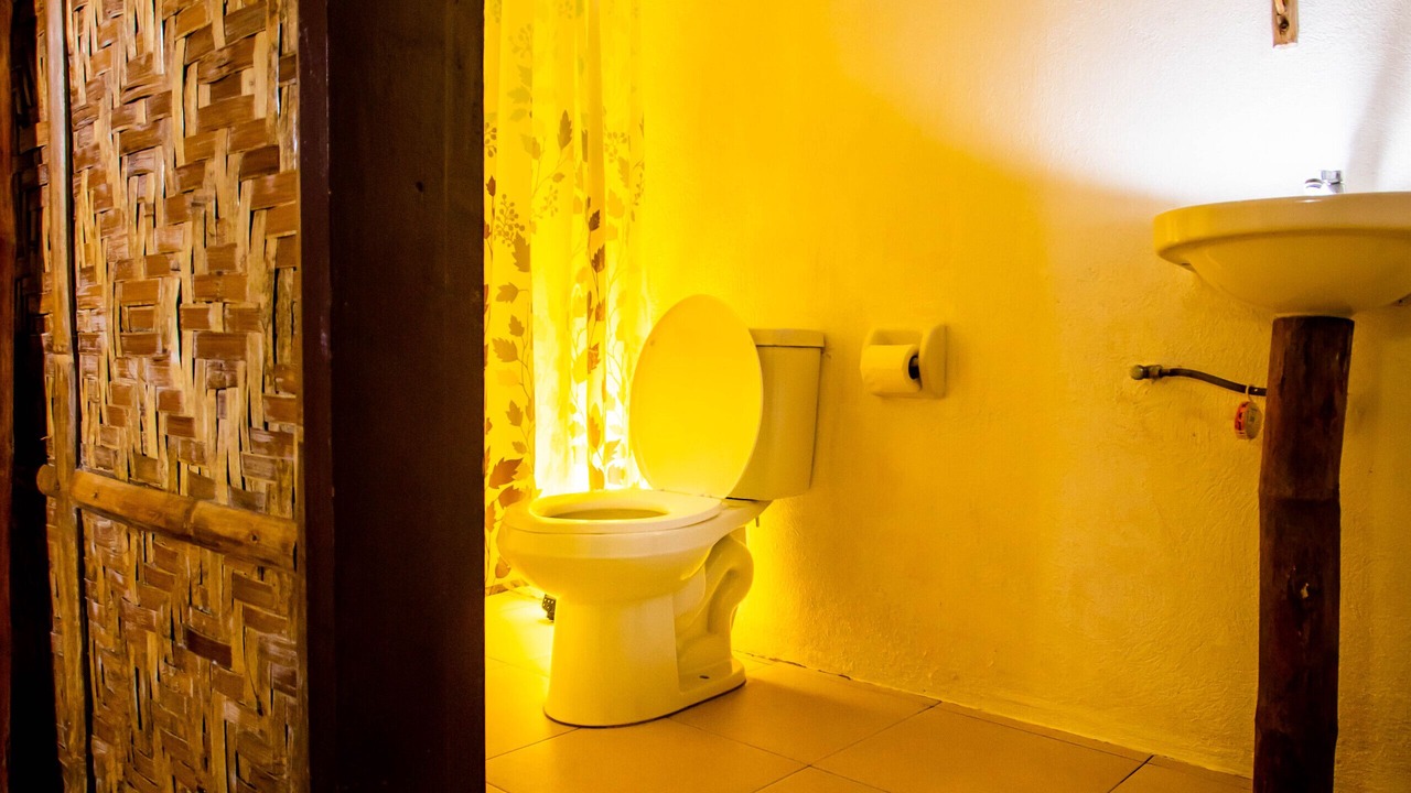 Photo of Bathroom in Loboc