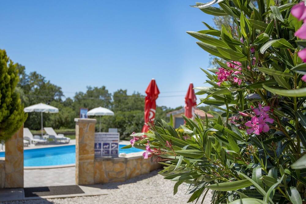Photo of Outdoor in Brnobici