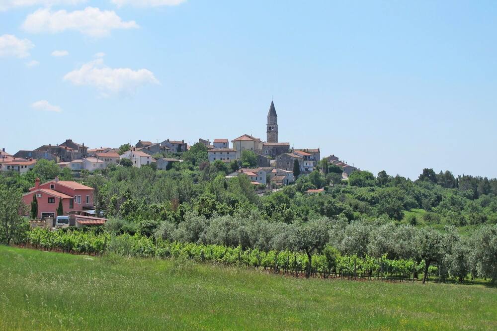 Photo of Others in Brnobici