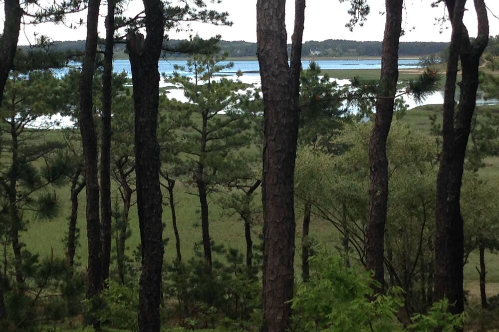 Photo of Others in Indian Neck Heights