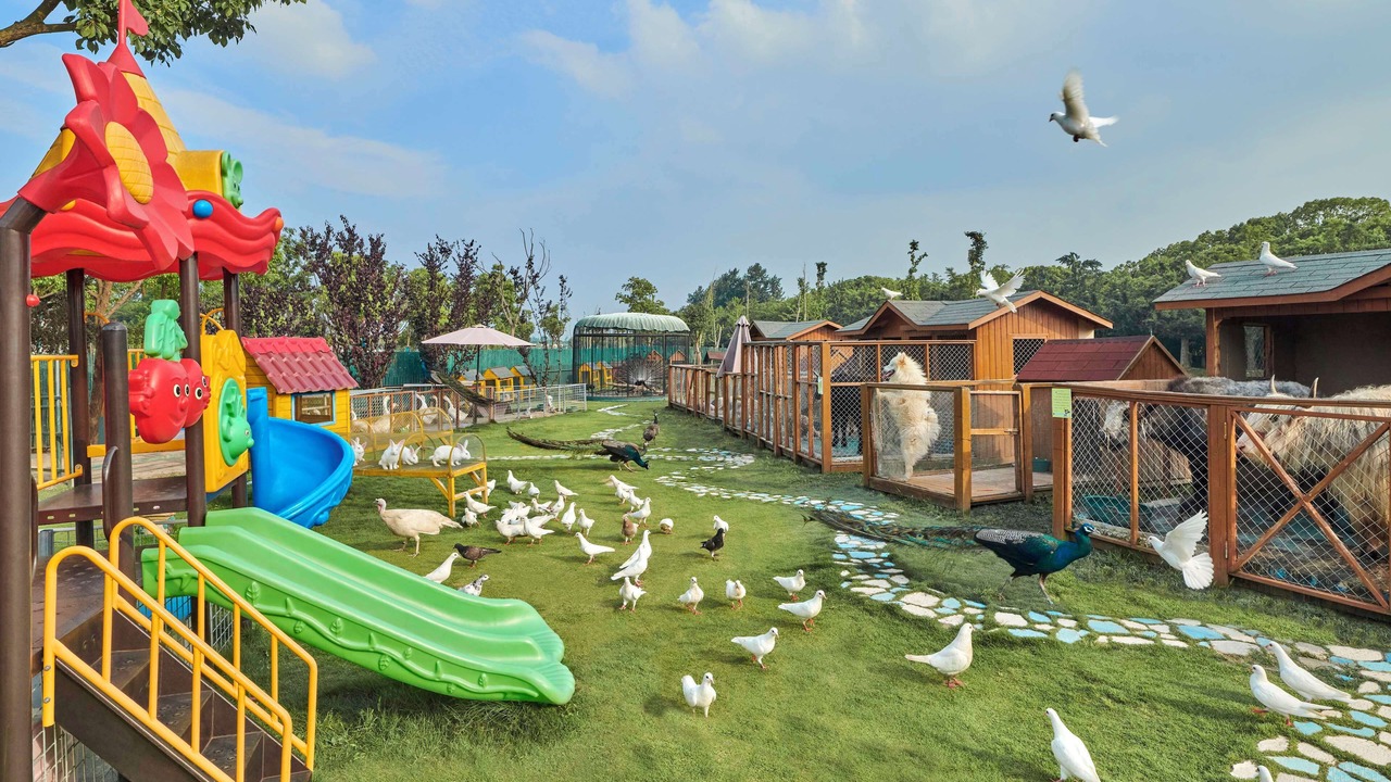 Photo of Outdoor in Fengxian