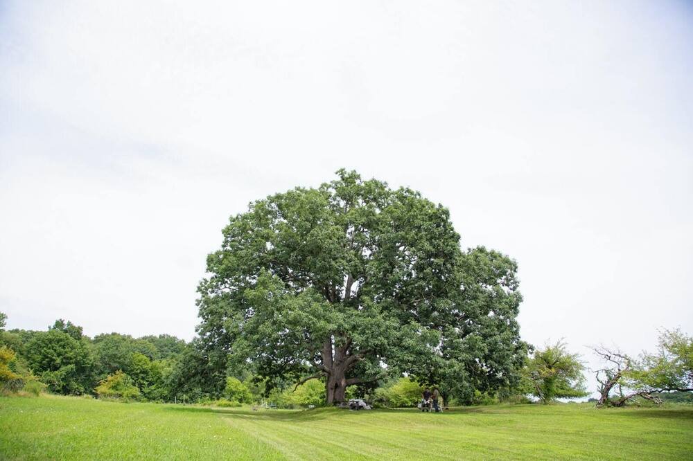 Photo of Others in Town of Marbletown