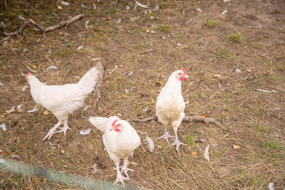 Photo of Others in Town of Marbletown