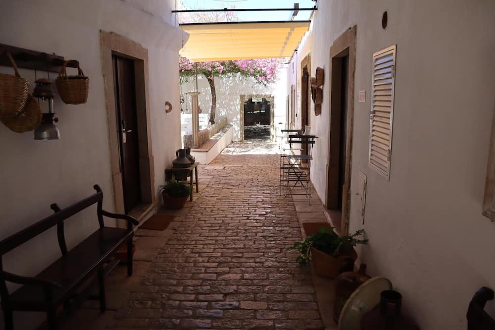Photo of Others in Benatrite