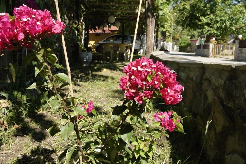 Photo of Outdoor in Paralia Pantaleimonos