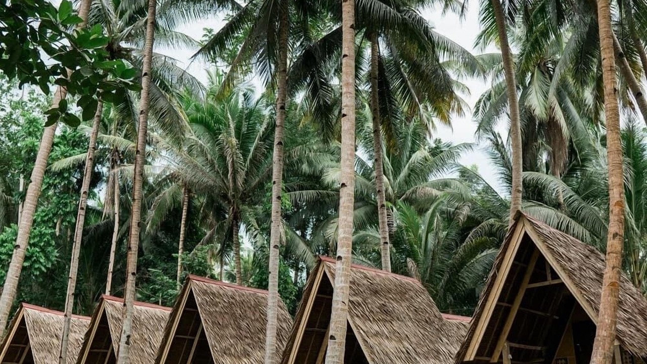 Photo of Bedroom in Loboc