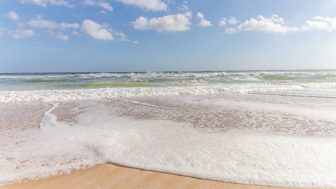 Photo of Others in Butler Beach