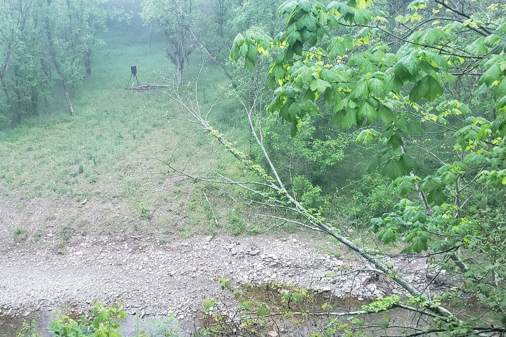 Photo of Outdoor in Madison