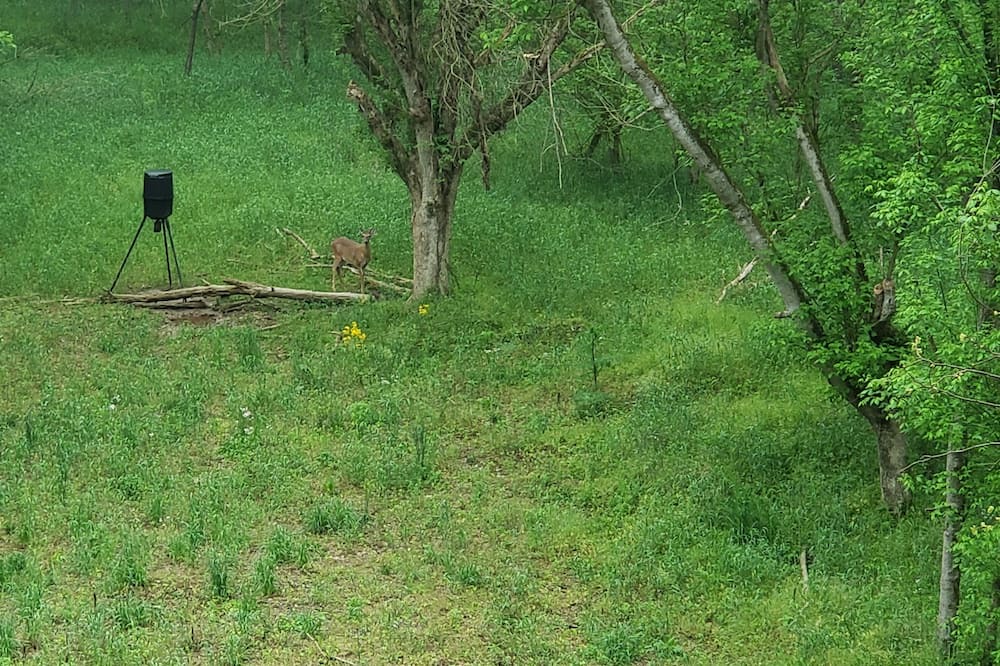 Photo of Outdoor in Madison