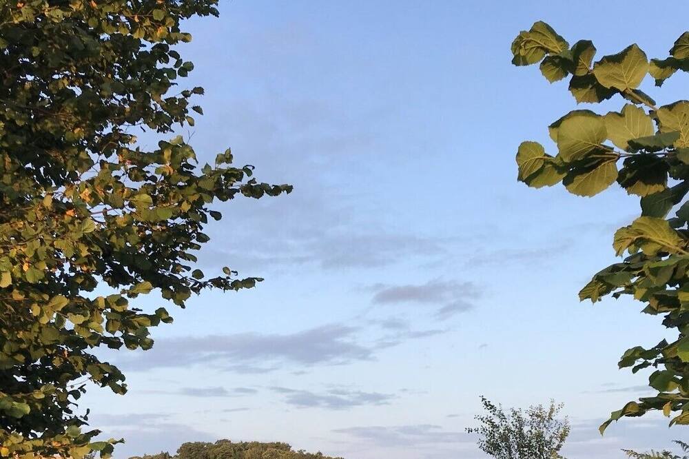 Photo of Outdoor in Ploerdut