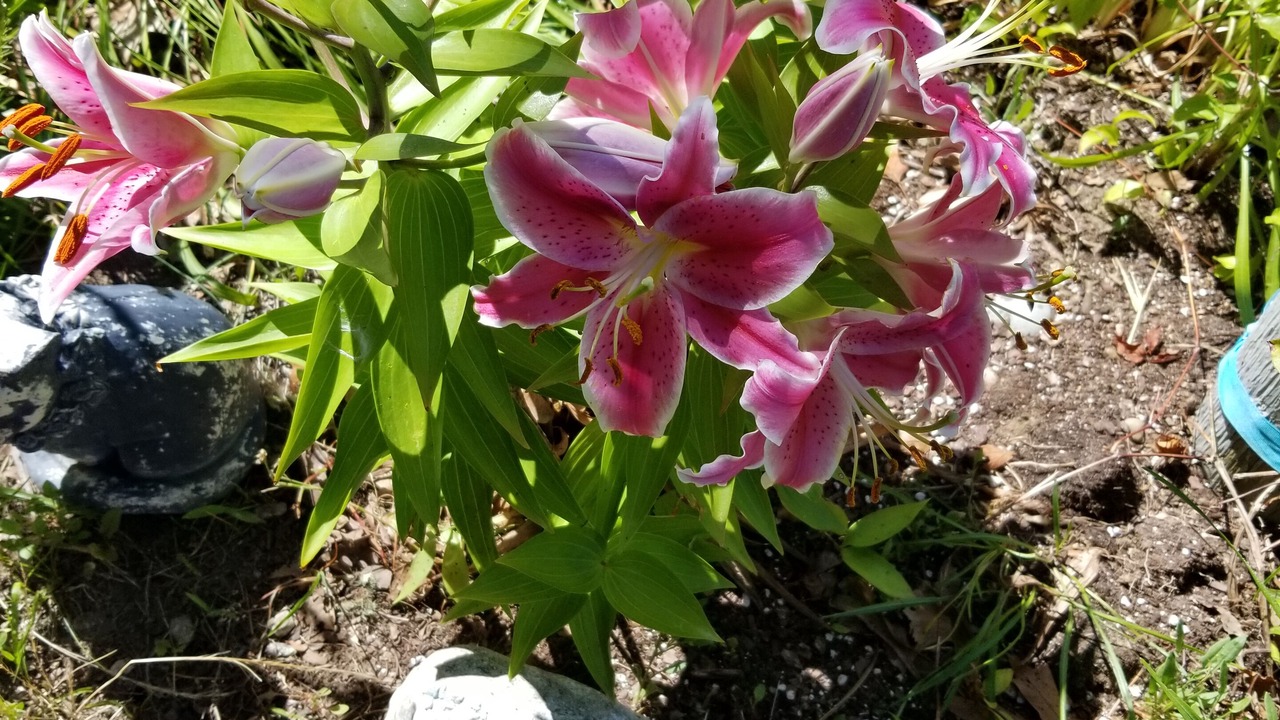 Photo of Outdoor in Yarmouth Port