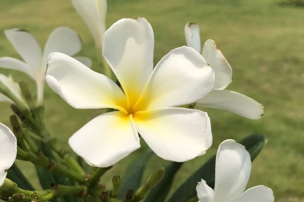 Photo of Outdoor in Sam Roi Yot