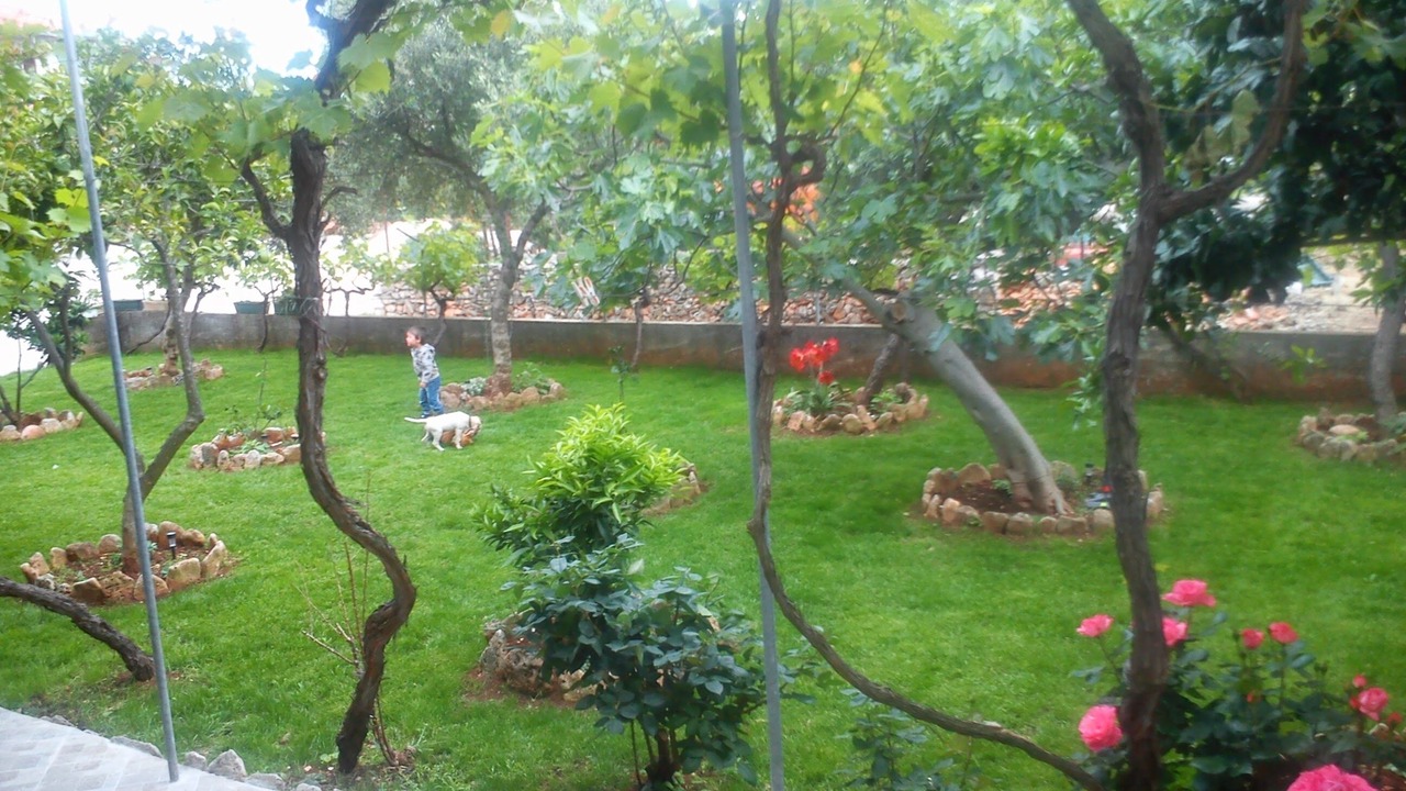 Photo of Patio Balcony in Sucuraj