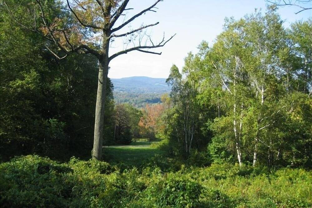 Photo of Others in West Stockbridge