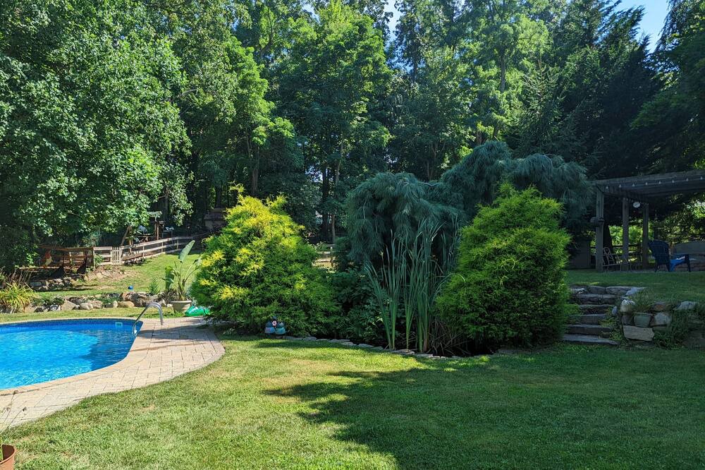 Photo of Outdoor in East Shoreham