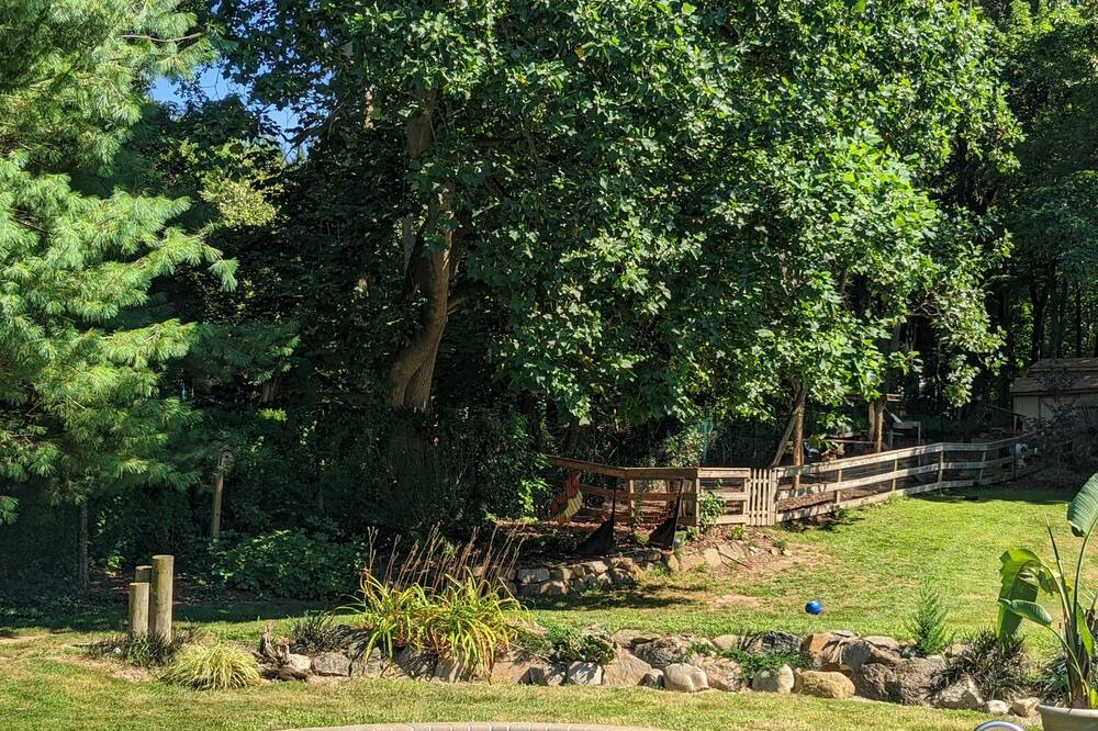 Photo of Outdoor in East Shoreham