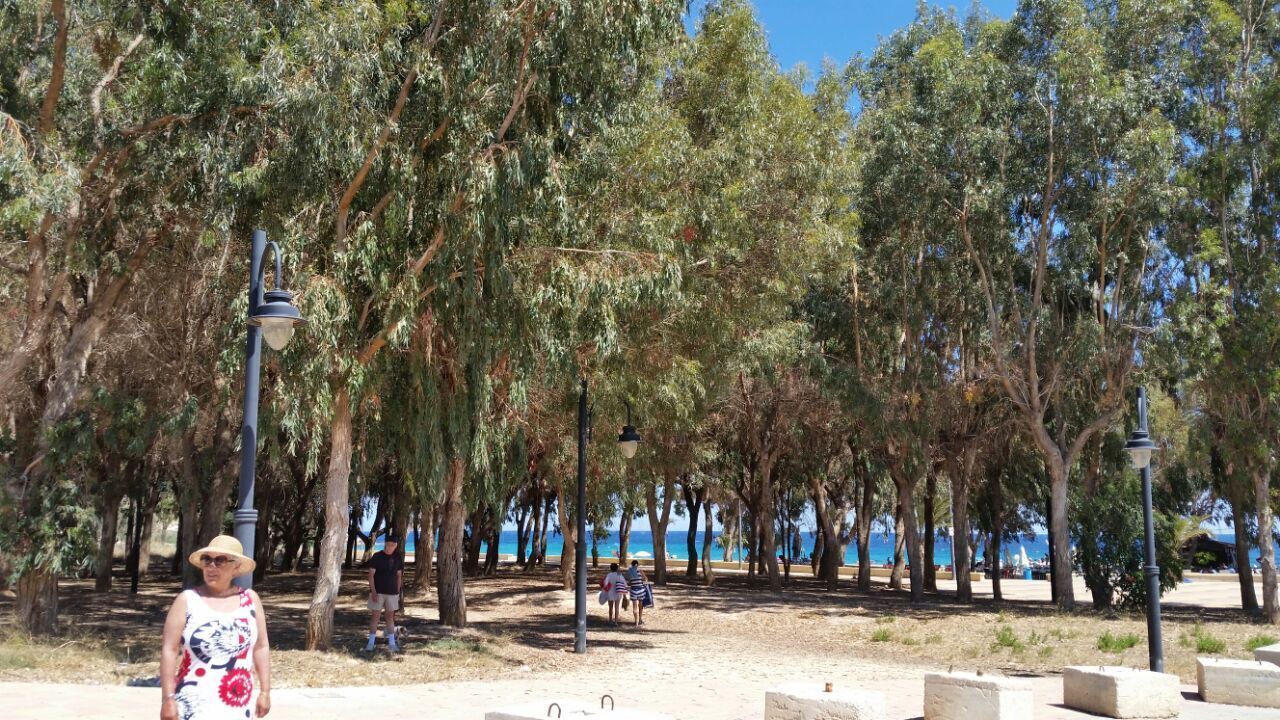 Photo of Others in La Colina