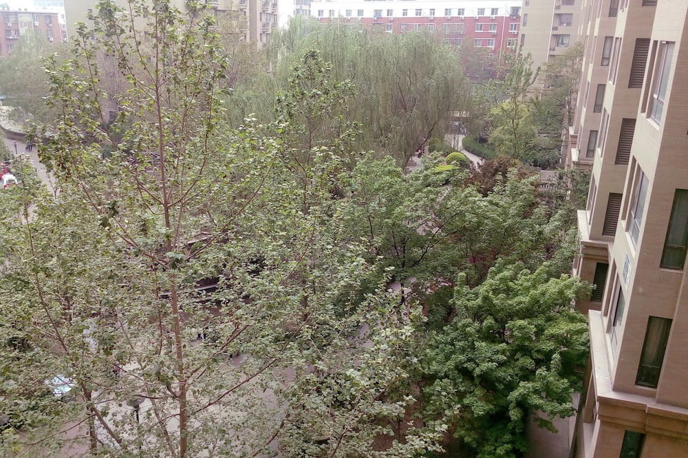 Photo of Others in Downtown Beijing