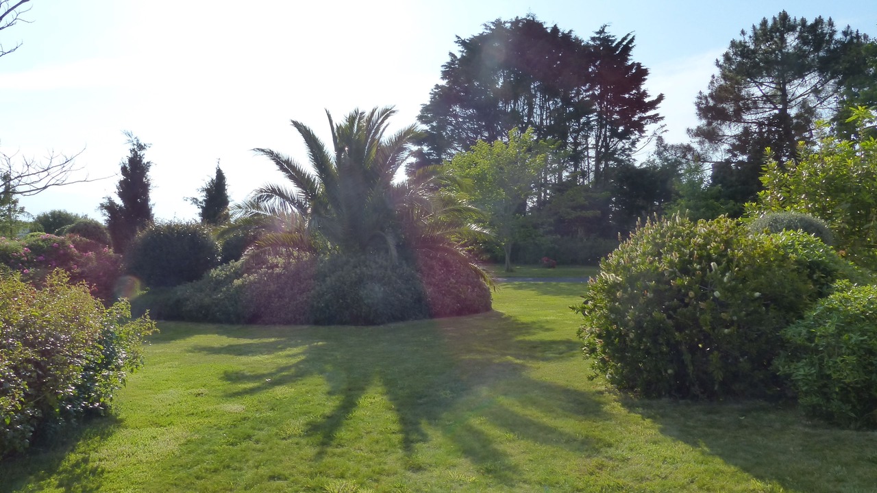 Photo of Outdoor in Treffiagat