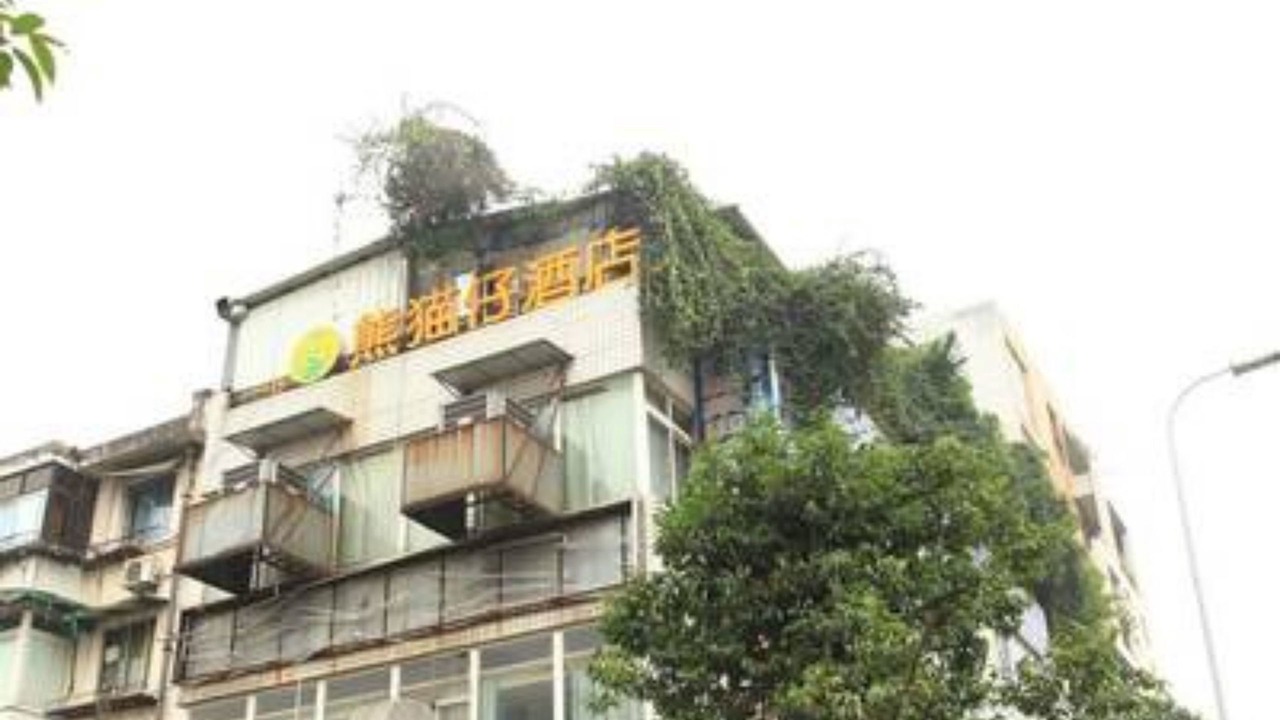 Photo of Outdoor in Jinniu