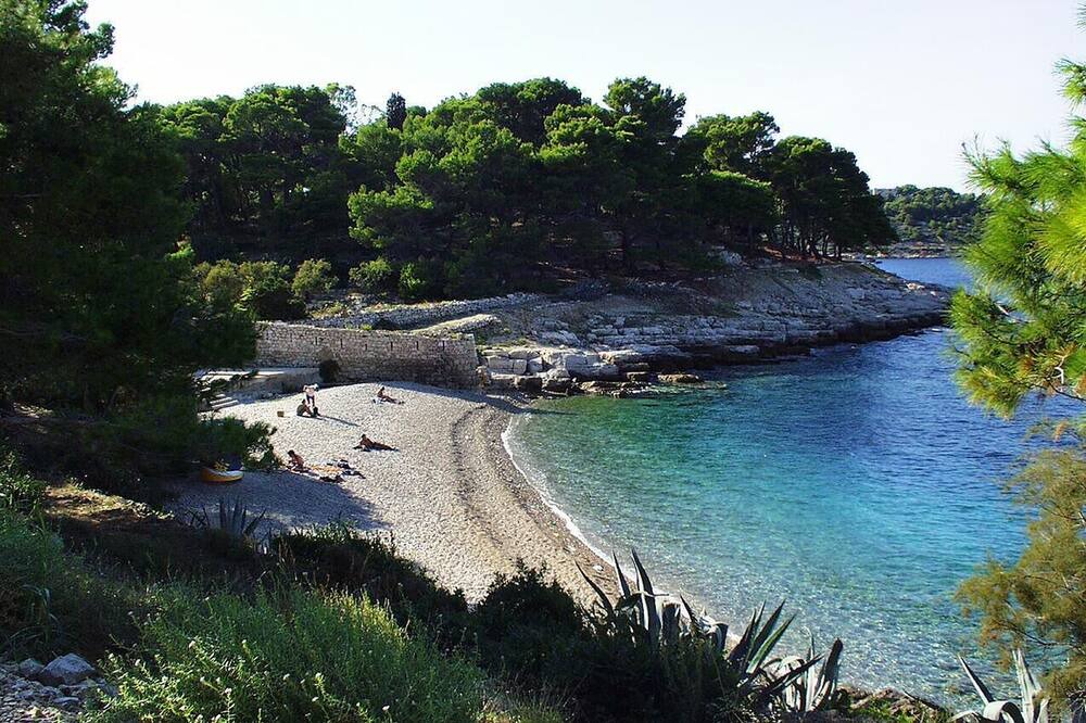 Photo of Others in Cove Rogacic