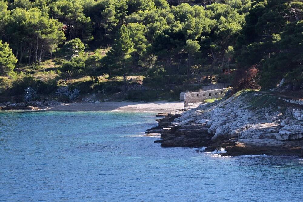 Photo of Others in Cove Rogacic