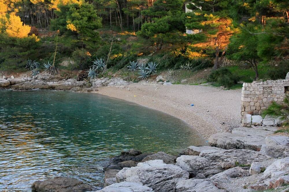 Photo of Others in Cove Rogacic