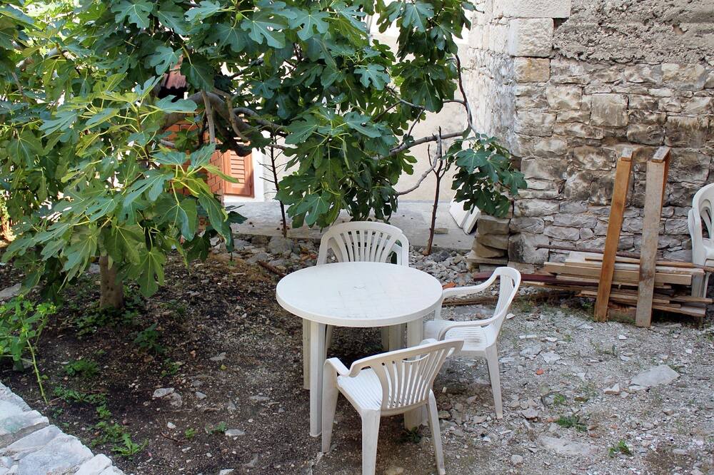 Photo of Others in Pucisca