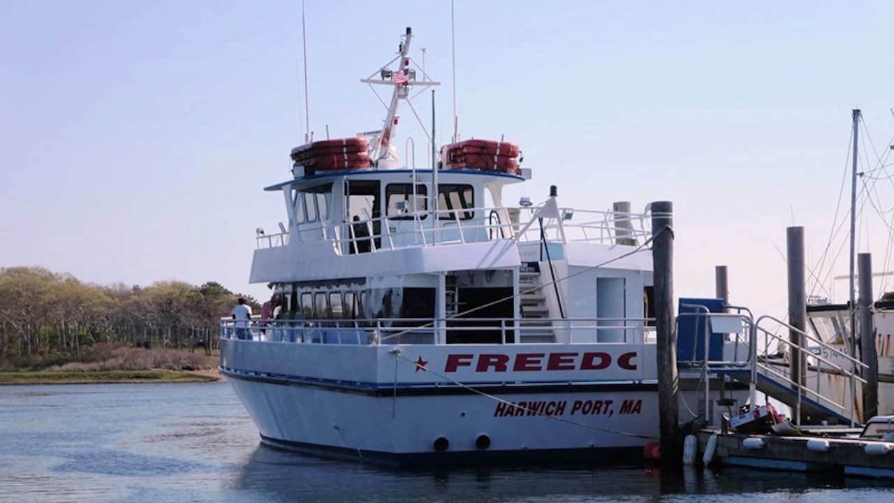Photo of Others in East Harwich