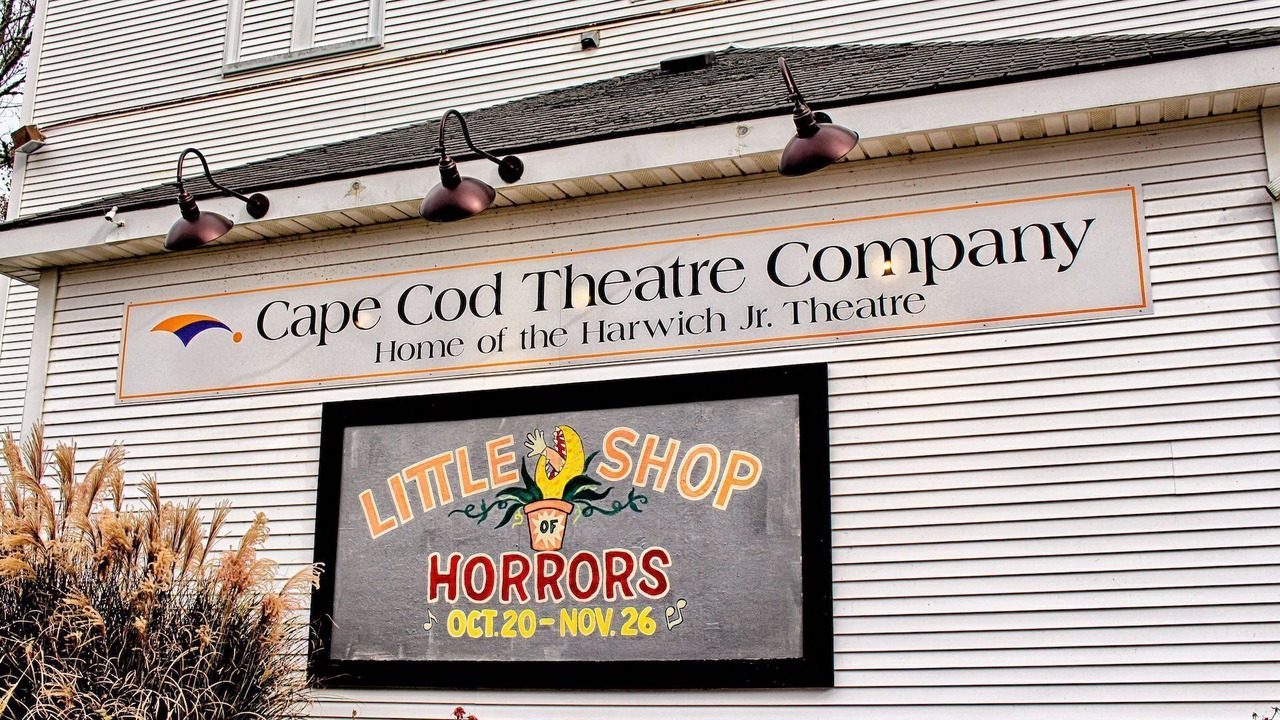 Photo of Outdoor in East Harwich