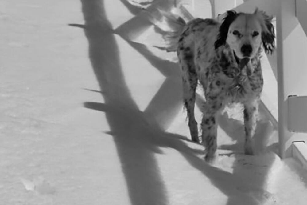 Photo of Others in Wytheville