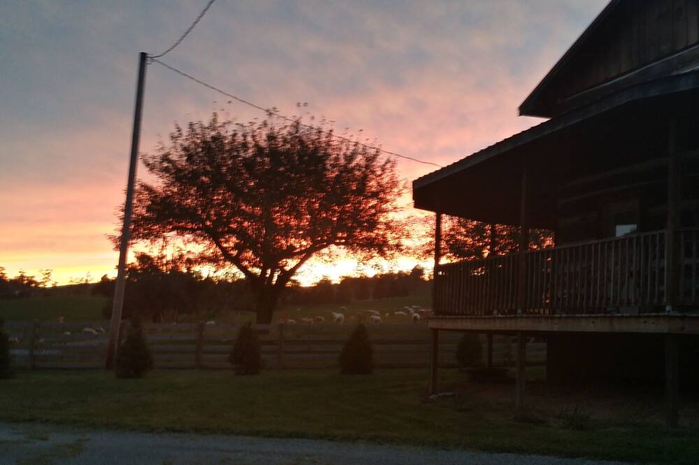 Photo of Others in Wytheville