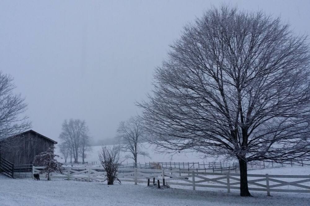 Photo of Others in Wytheville