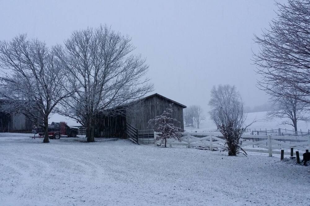 Photo of Others in Wytheville