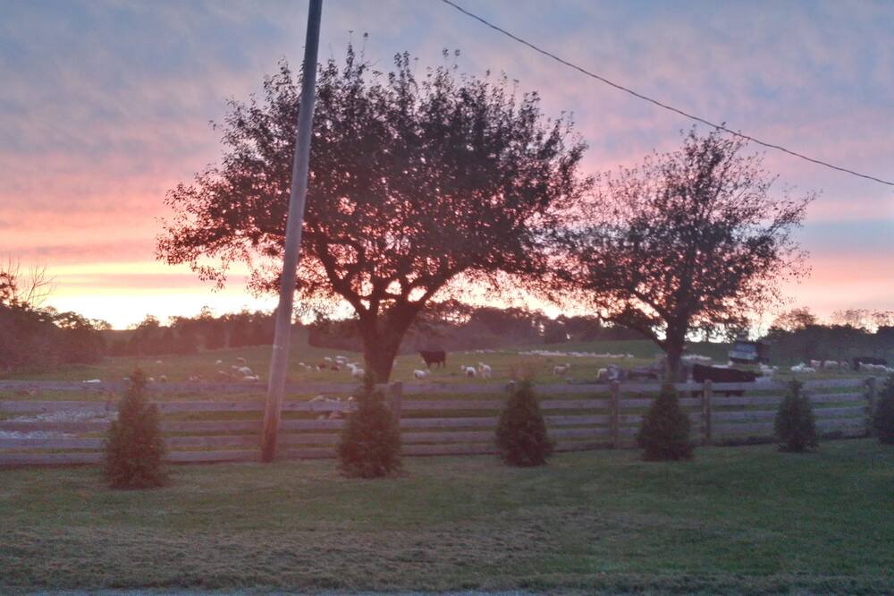 Photo of Others in Wytheville