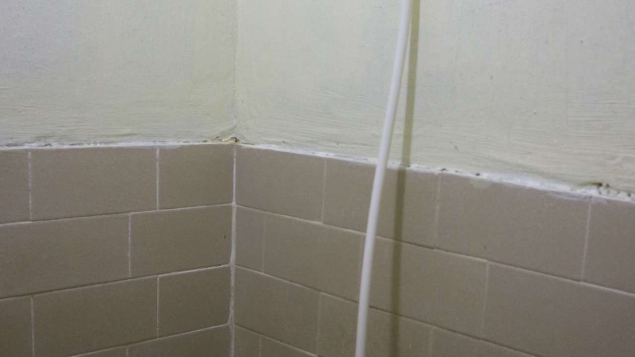Photo of Bathroom in Mambajao