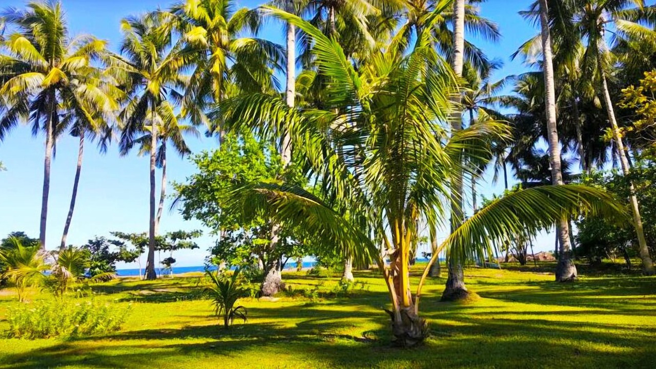 Photo of Outdoor in Mambajao