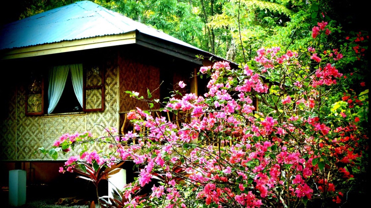 Photo of Outdoor in Mambajao