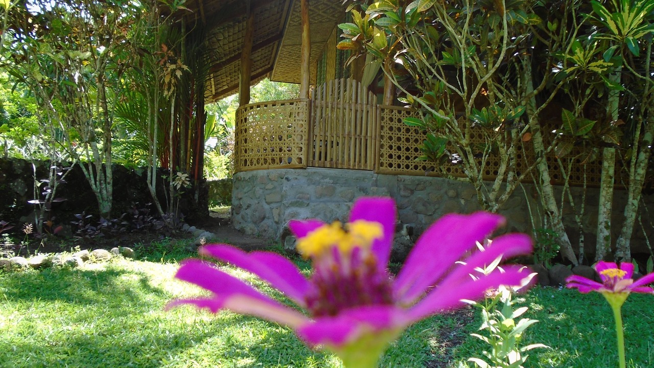 Photo of Outdoor in Mambajao