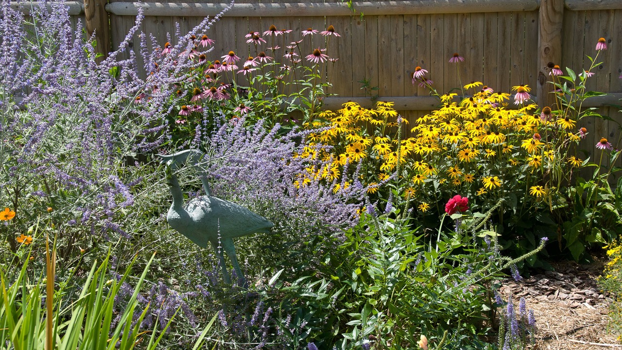 Photo of Outdoor in West Brewster
