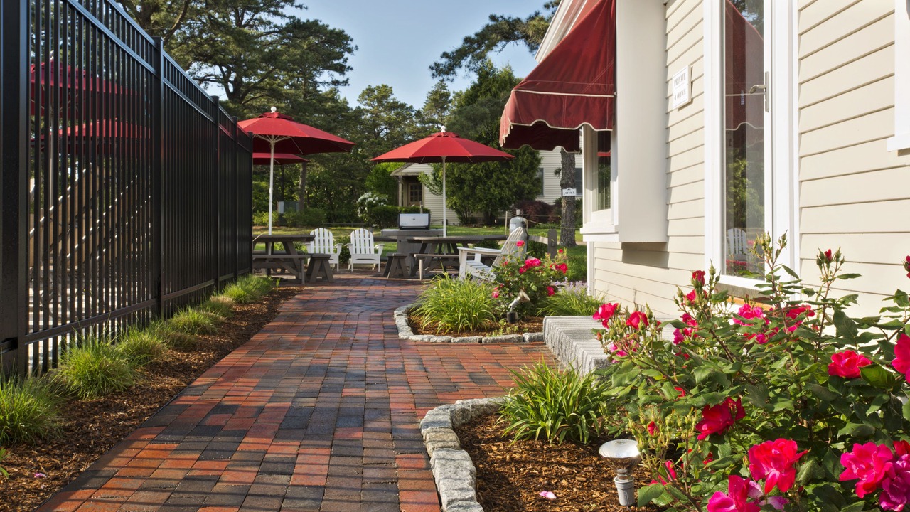 Photo of Outdoor in Wellfleet