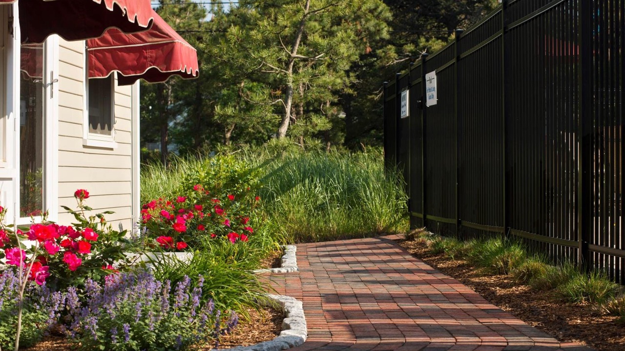 Photo of Outdoor in Wellfleet