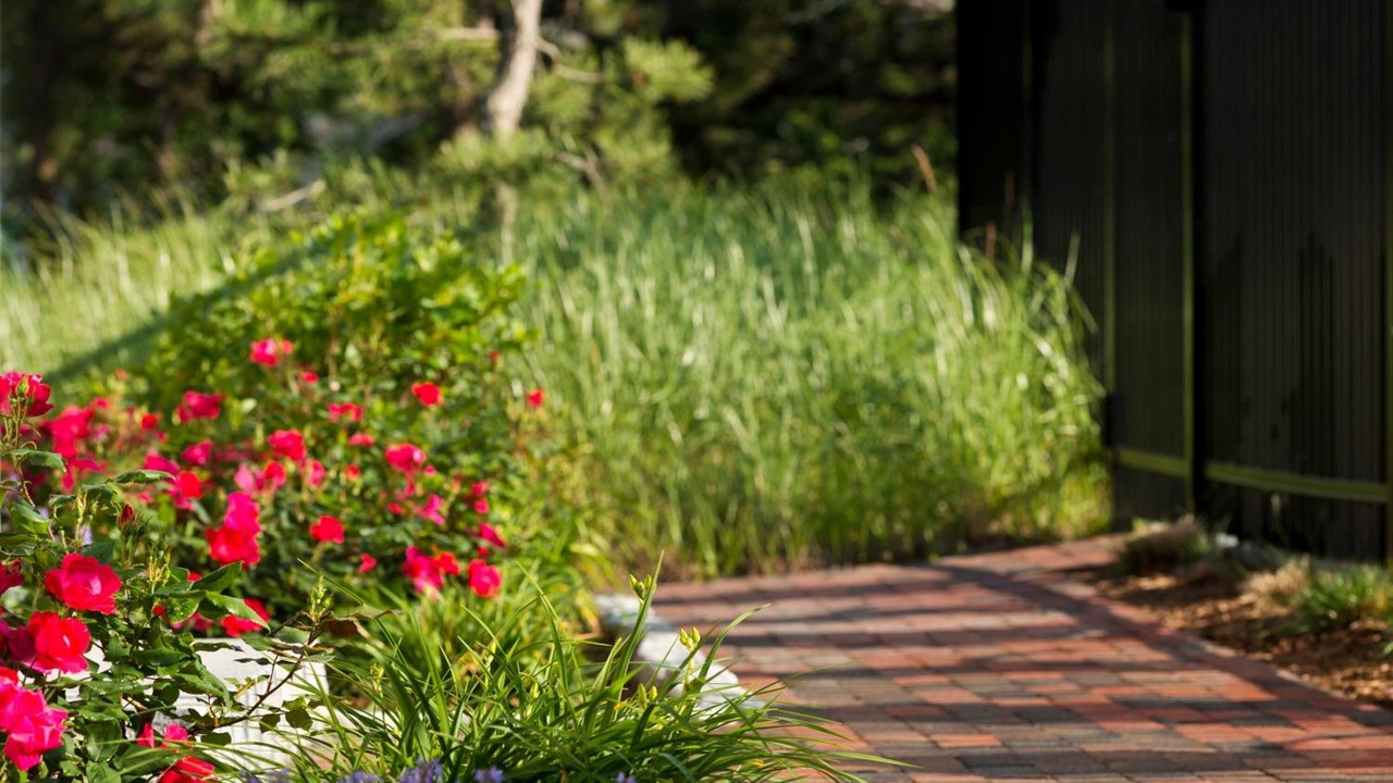 Photo of Outdoor in Wellfleet