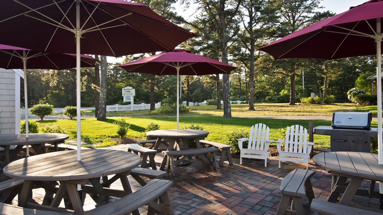 Photo of Outdoor in Wellfleet