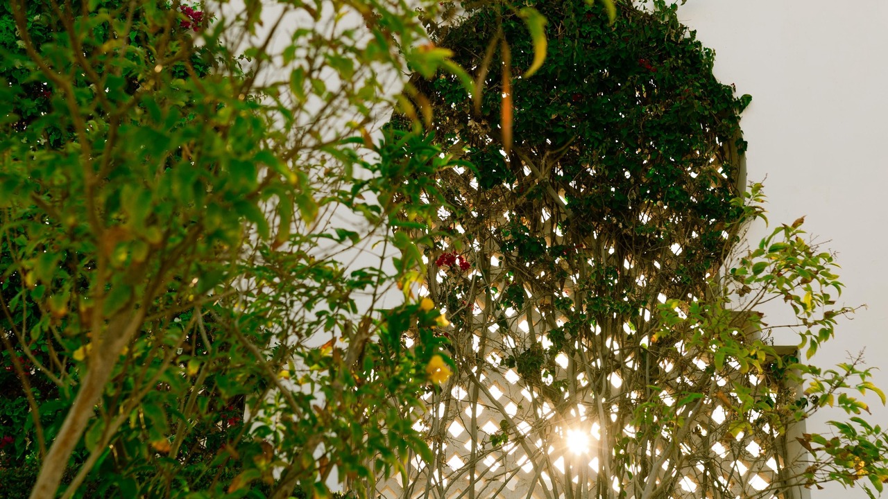 Photo of Outdoor in Ras Nasrani
