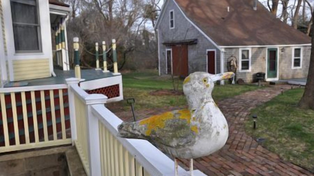 Photo of Outdoor in Eastham